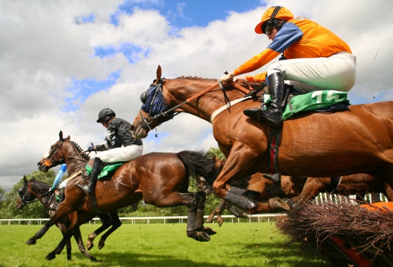 A group of jockeys on horses jumping over a hurdle.