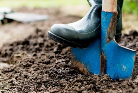 A blue shovel with a wooden handle being pushed into the ground by a foot wearing a wellington boot.